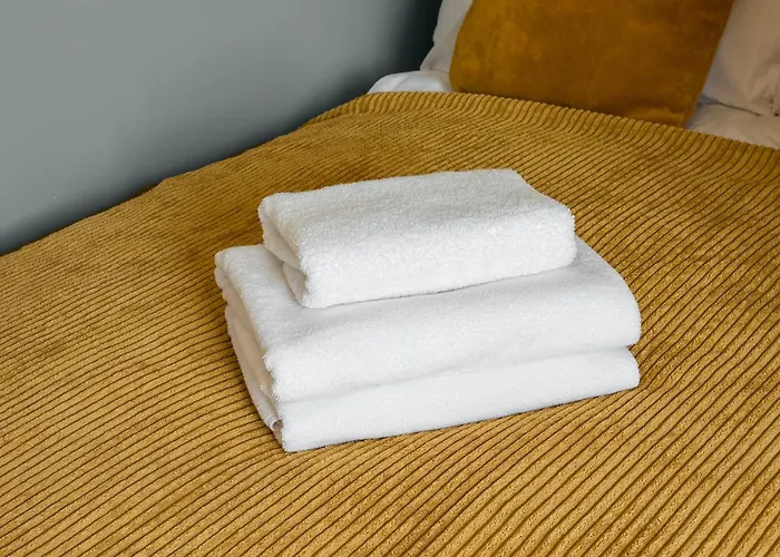 Ursus Deluxe By Bookinghost